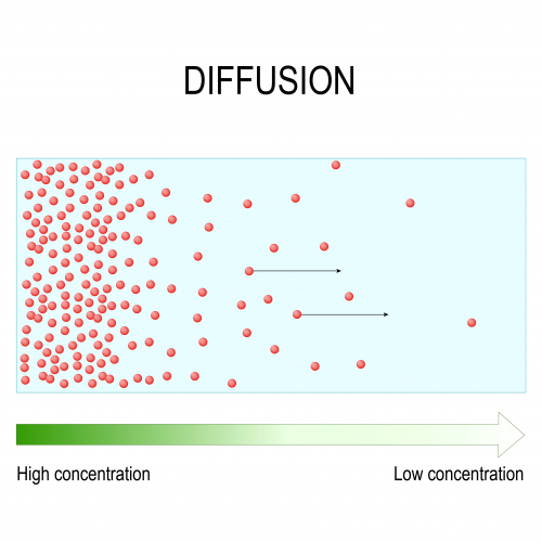 Diffusion